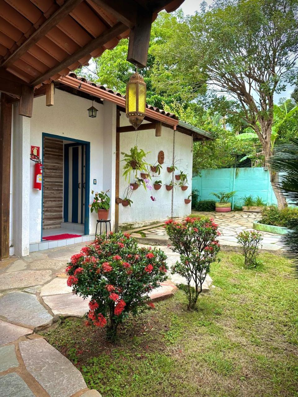 Orquídeas Pirenópolis